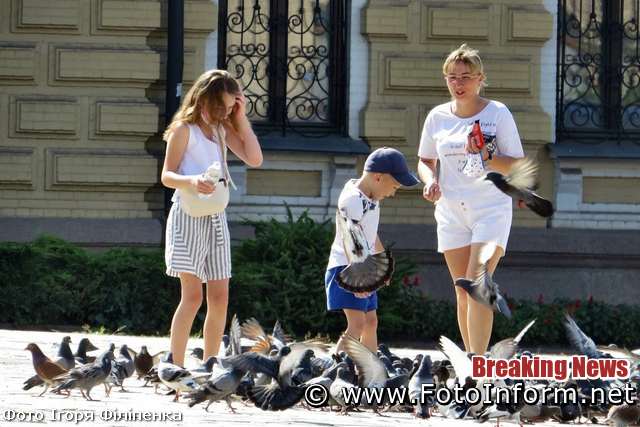 Кропивницький: у центрі міста містяни годують голубів